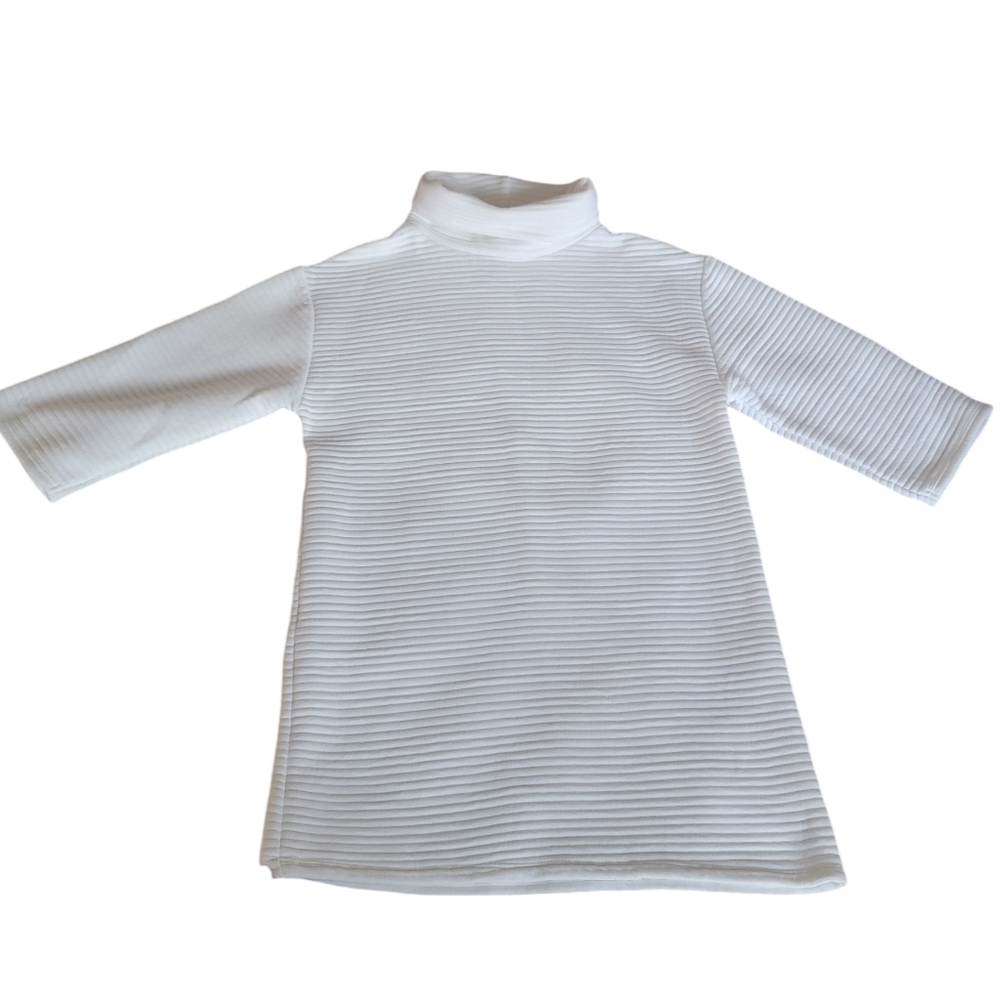 Zara White Ottoman Ribbed Sweater Dress Roll Neck Minimalist Women’s Sma… - Picture 16 of 16